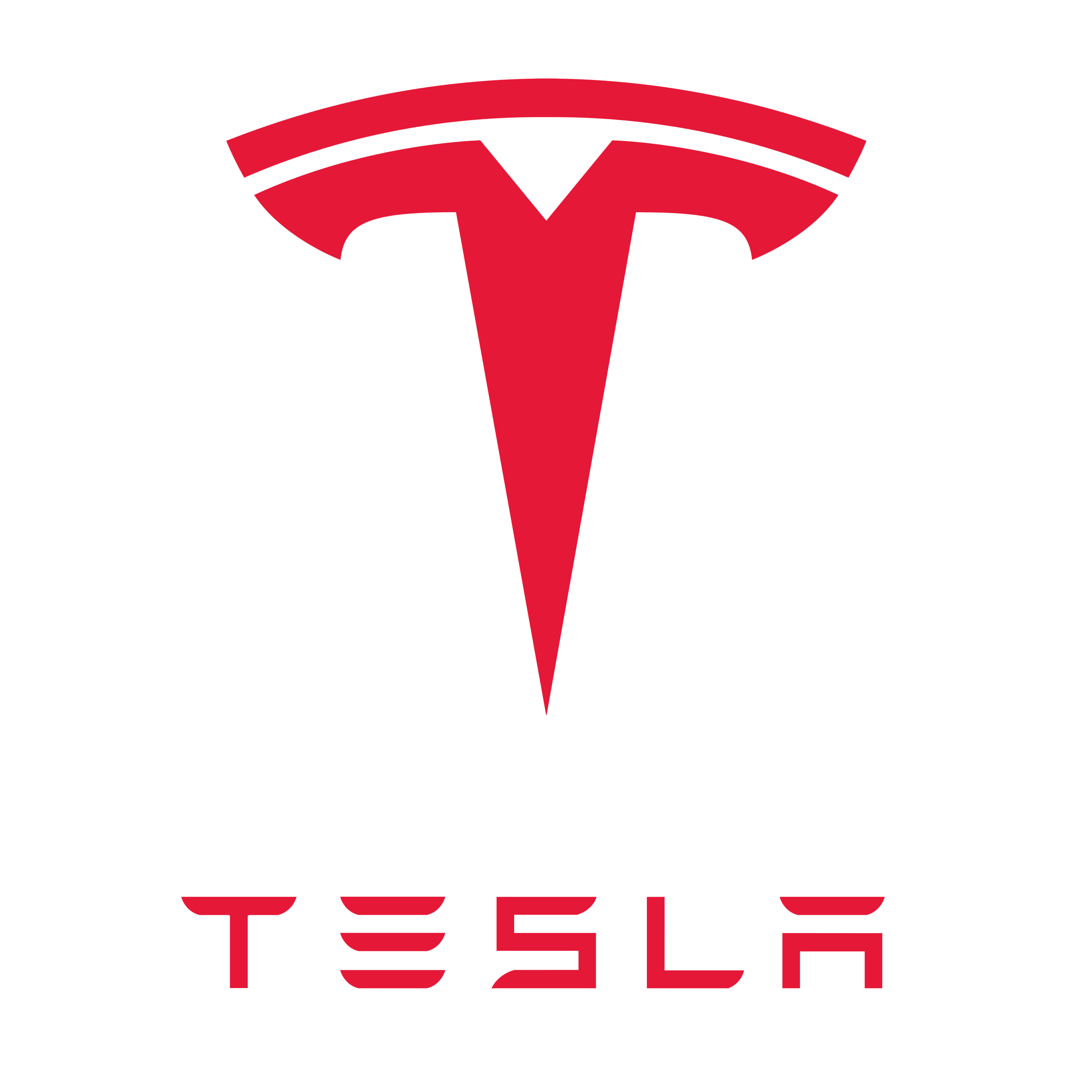 Tesla projekt